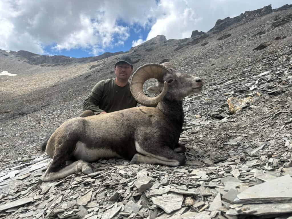 Mountain goat with large curved horns resting on rocky slope, wildlife scene in rugged landscape.