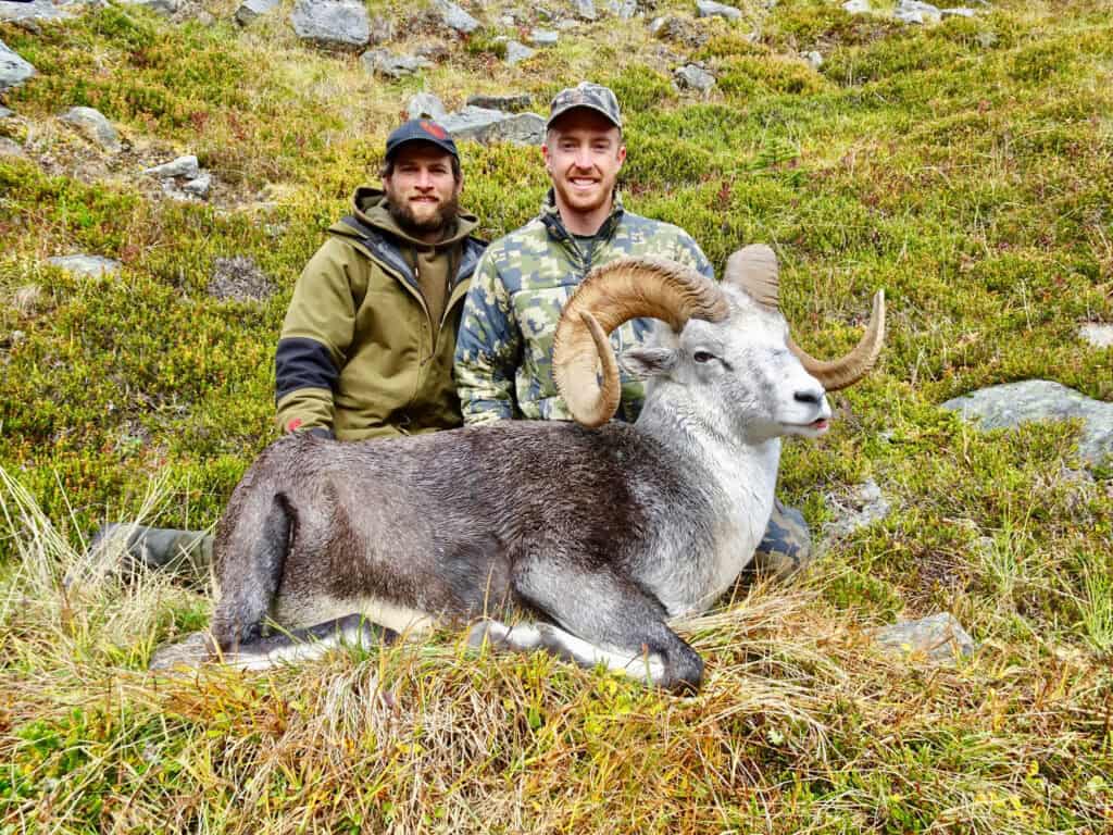 Beautiful mountain goat with hunters in scenic alpine setting.