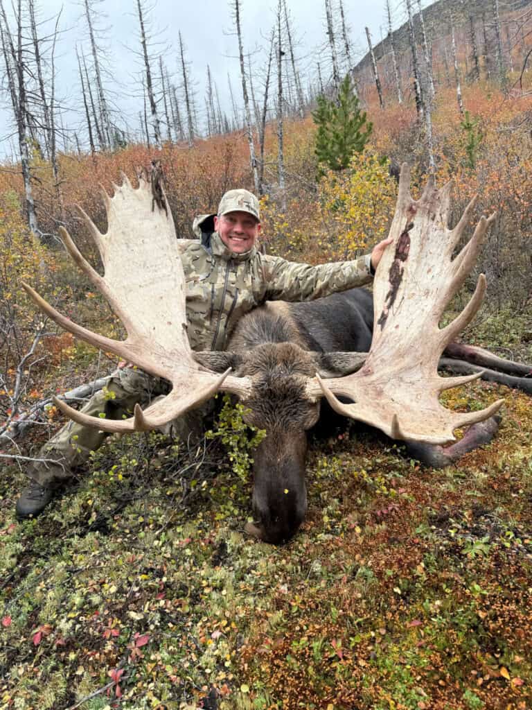 Moose with large antlers after successful hunt at Scoop Lake Outfitters.